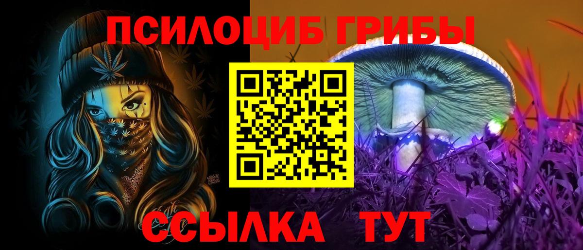 Нижний Новгород  Псилоцибиновые грибы мухоморы  цена   Вход с VPN 